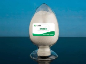 透明質(zhì)酸鈉 Sodium hyaluronate 9067-32-7